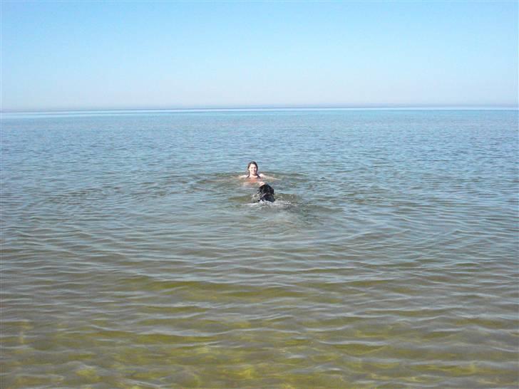 Rottweiler Chica - Mig & Chica ude og Svømme på Bjergestrand :)  billede 17