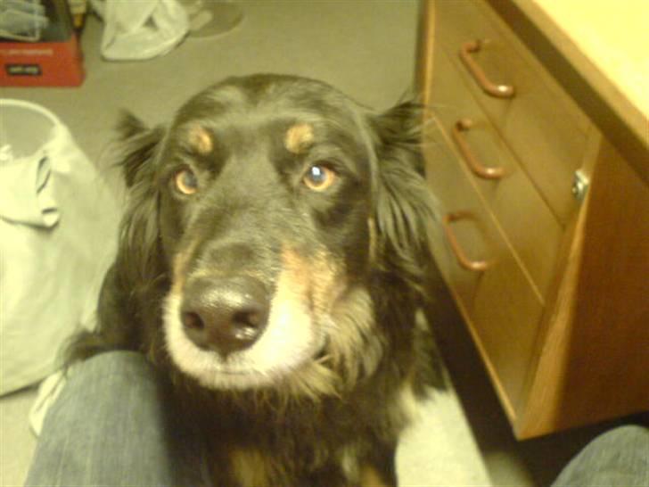 Blanding af racer Thyson ' nye billeder <3 billede 18