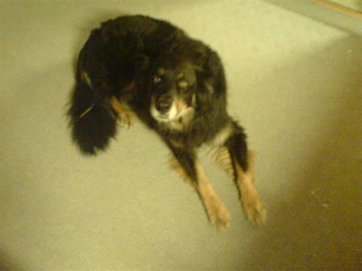 Blanding af racer Thyson ' nye billeder <3 billede 19