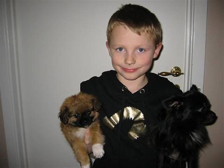 Blanding af racer - ~°º• Chiwas •º°~ - - Mig tobias og nico... billede 7