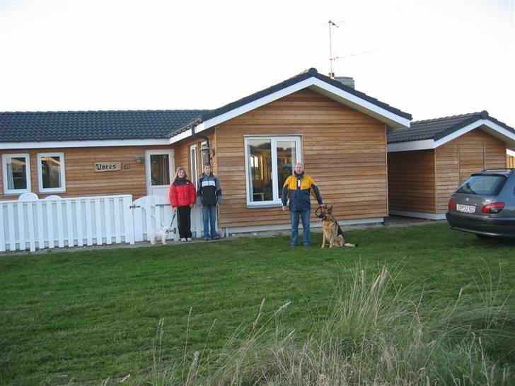 Schæferhund Jennie <3 † DØD † R.I.P - SAVNER DIG :( billede 19