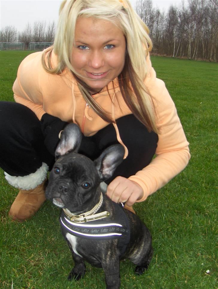 Fransk bulldog Molly - Min lille prinsesse <3 billede 15