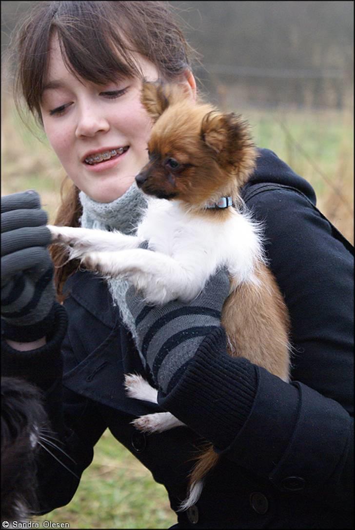 Blanding af racer Penny - Min storesøster Melissa der holder Penny, foto: Sandra Olesen. billede 9