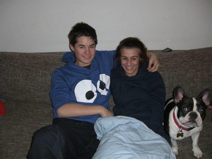 Fransk bulldog Snolder - En gang var det kun mig der blev nusset, nu må jeg dele ham med kæresten :-) billede 12