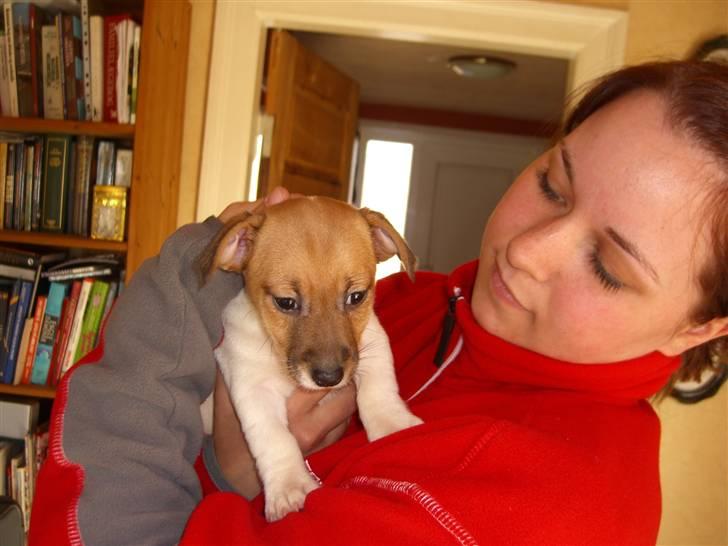 Jack russell terrier Chilli - Mig og "Mor" billede 9