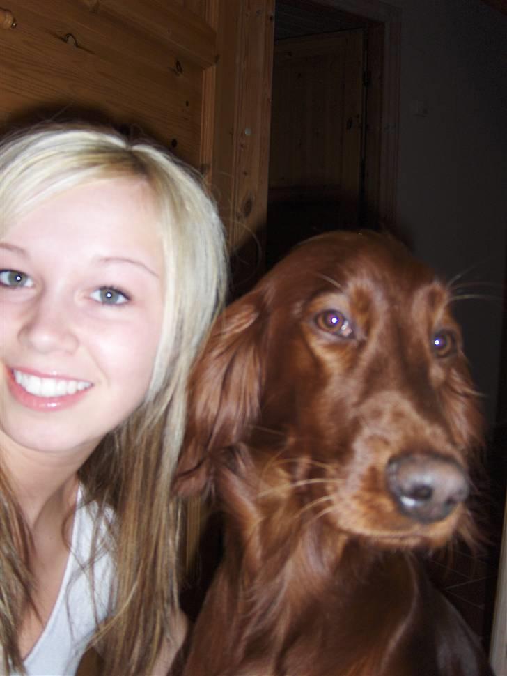 Irsk setter Lohmans Norma - Chica og jeg :D billede 14