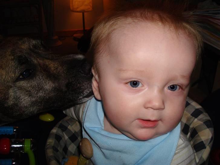 Blanding af racer Mana - Mana møsser Nike billede 16