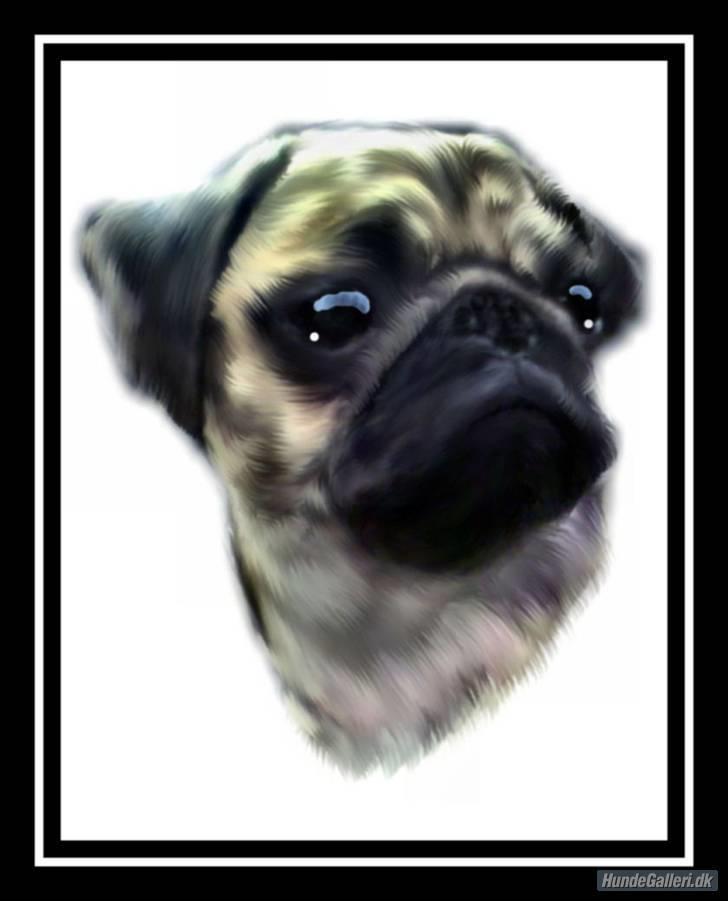 Mops Lajka - lavet af mormor (: billede 19