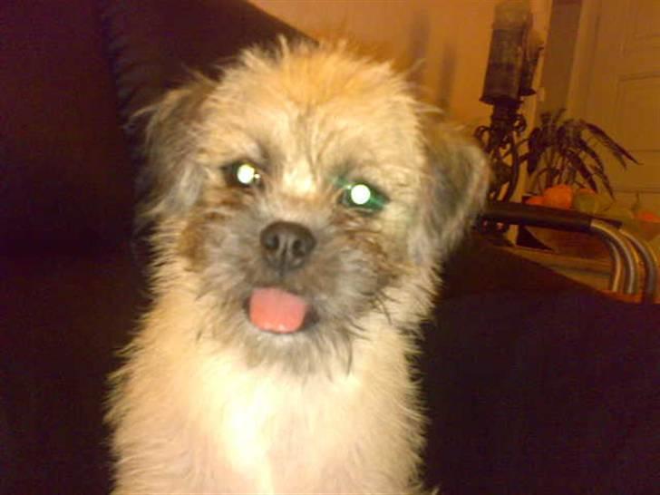 Blanding af racer Angela billede 3