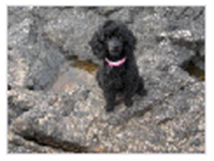 {{currentPhoto.altText}} billede {{currentPhoto.number}}