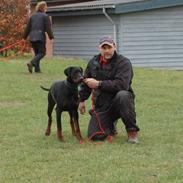 Dobermann john gotti