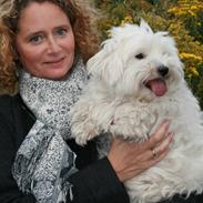 Coton de tulear Olivia