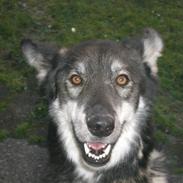 Blanding af racer René