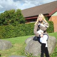 Dansk svensk gaardhund Fie