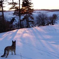 Blanding af racer Molly R.I.P<3