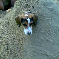 Blanding af racer skipper