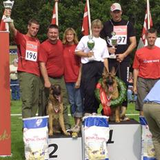 Schæferhund Houen James Dean