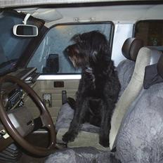 Blanding af racer Kiki - RIP