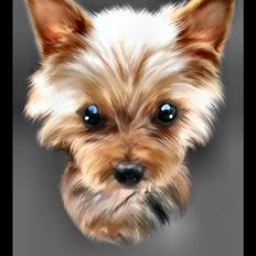 Blanding af racer *** Pippi ***FLYTTET***