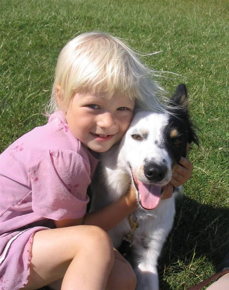 Border collie Taps - Josephine og mig.... Er vi ikke søde????? billede 2