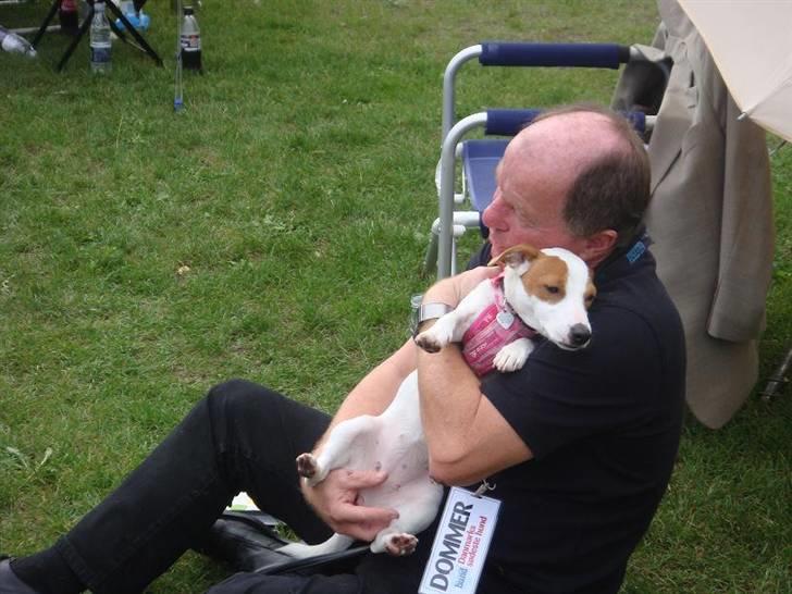 Jack russell terrier Maggie <3 R.I.P skat.. - Maggie til danmarks sødeste hund 08 billede 2