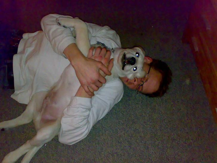 Blanding af racer Zimba - Og så skal der lige tumles lidt...  billede 11