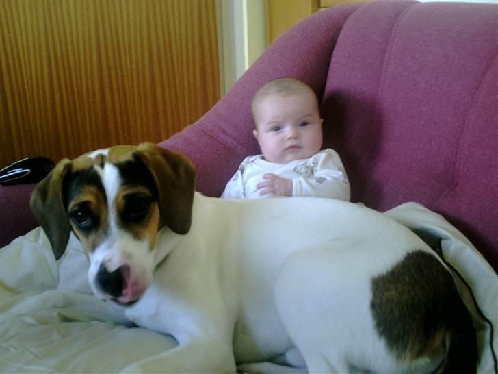 Blanding af racer skipper billede 5