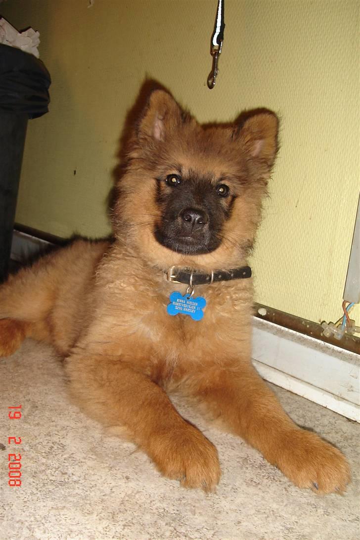 Blanding af racer Mikkel - Hey! ER jeg ikke bare lækker hva?! billede 11