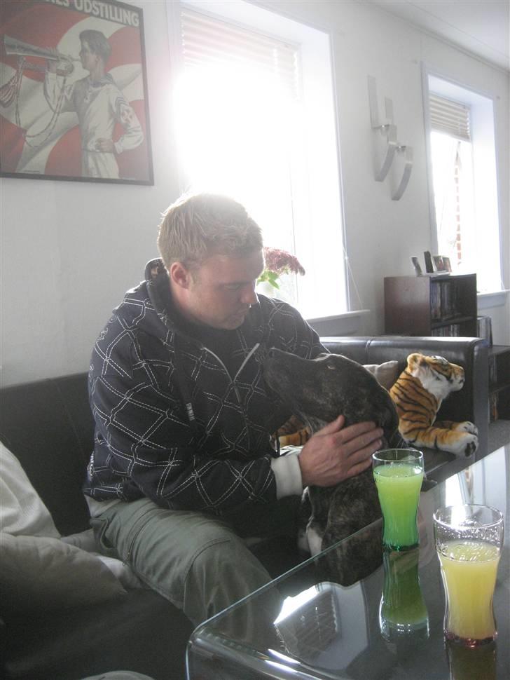 Blanding af racer Baloo - S.S vil du ikk nok kæle med mig, PLEASE... billede 12