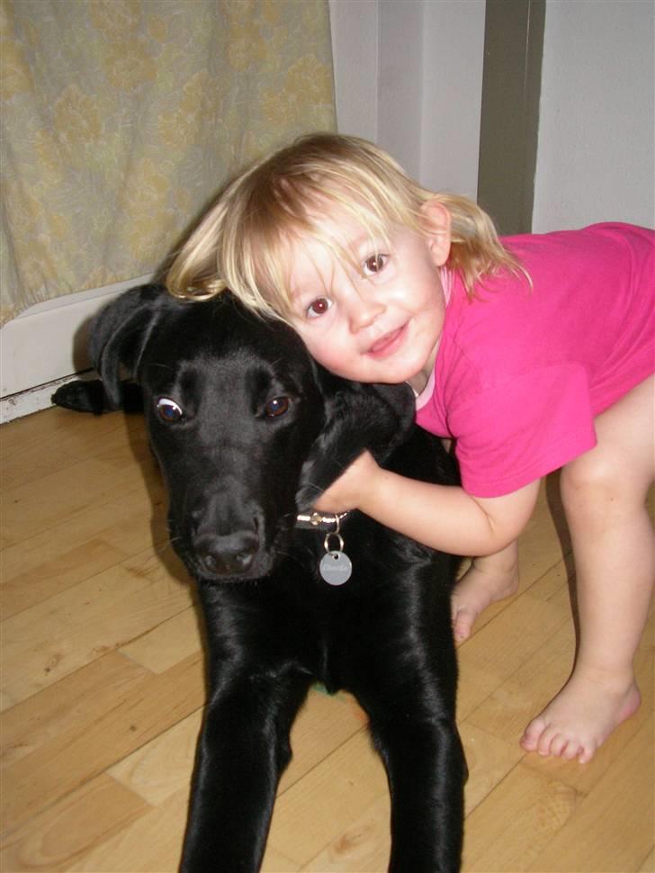 Blanding af racer Charlie billede 2