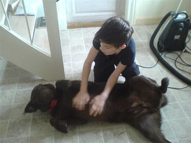 Blanding af racer Viktor <3 (R.I.P) billede 14