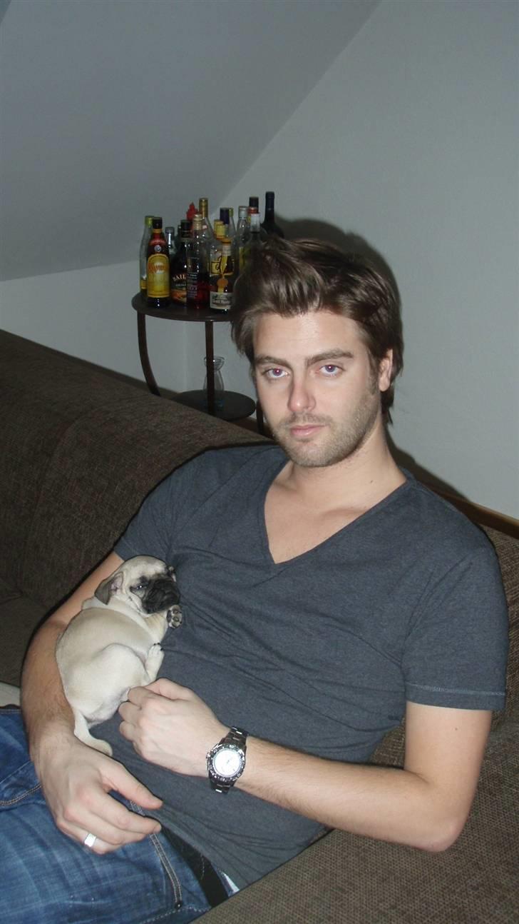 Mops Møffe - 1. dag hos os, 8 uger billede 14