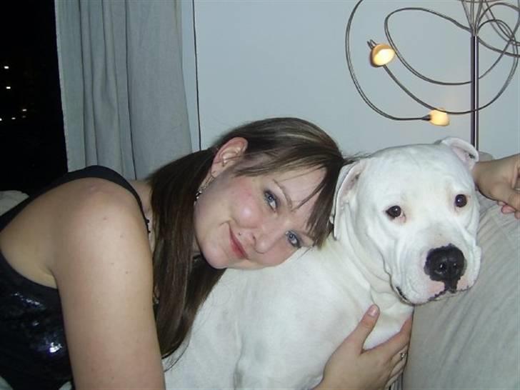 Amerikansk bulldog Nala (Kerteminde) - Et sidste med Balders mor... (Moster Rikke) billede 15