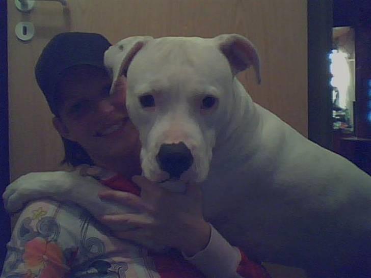 Amerikansk bulldog Nala (Kerteminde) - Endelig sammen med mor... billede 20