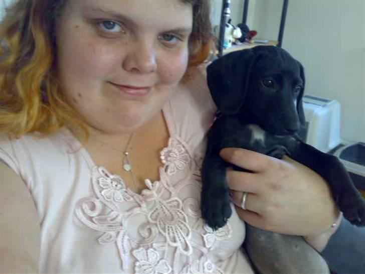 Blanding af racer Pippi billede 18