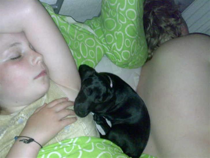 Blanding af racer Pippi billede 20