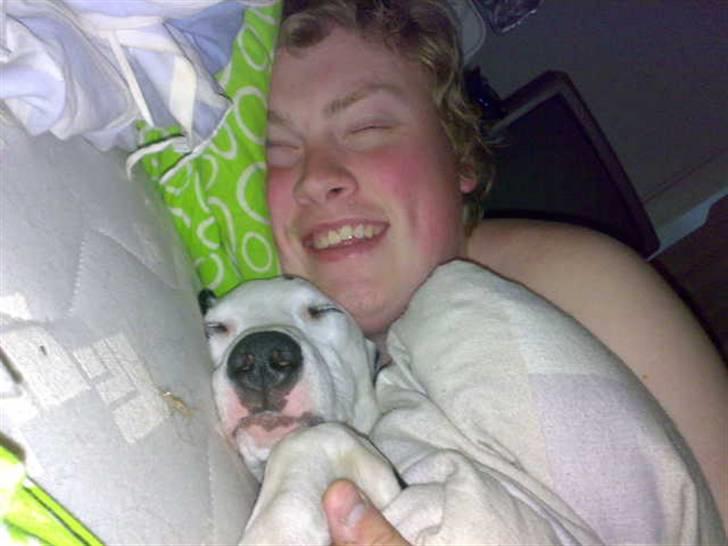 Dalmatiner Mollie billede 16