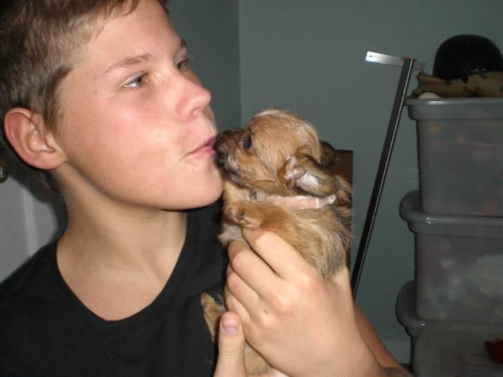 Blanding af racer *** Pippi ***FLYTTET*** - Alex og Pippi billede 13