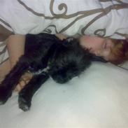 Blanding af racer mulle