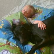 Blanding af racer LUNDE