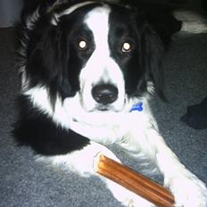 Blanding af racer Silas