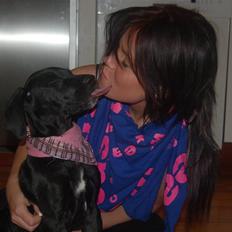 Grand danois Mercedes <3