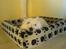 West highland white terrier Mille R.I.P