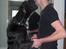 Grand danois ## RICCO ## - Lige en mysser til onkel Heino.....