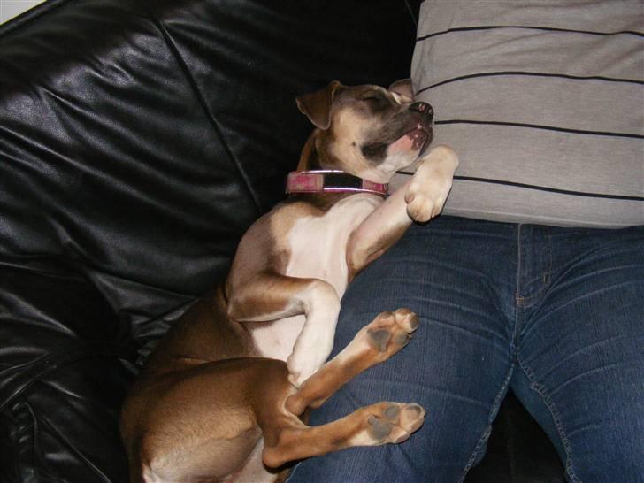 Blanding af racer Joy - mig og mor i skovsøen :o) billede 11