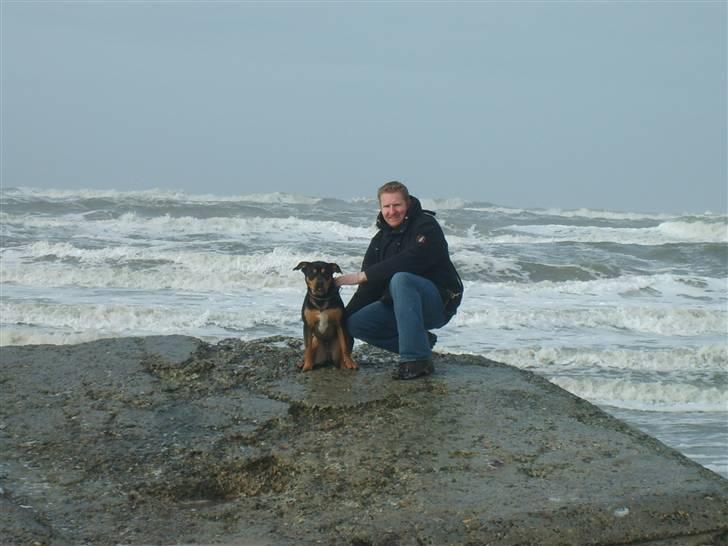 Blanding af racer BJØRN billede 18