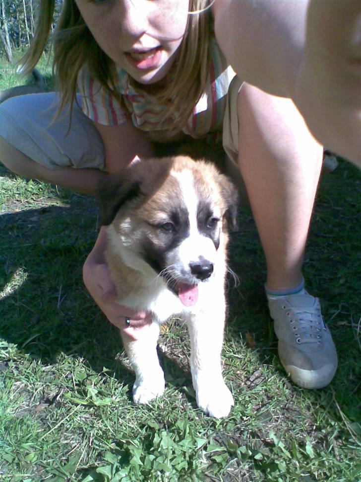 Blanding af racer Kira Cooper *R.I.P* - her skulle vi kigge på hende billede 8