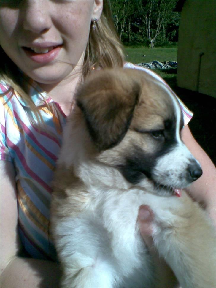 Blanding af racer Kira Cooper *R.I.P* - ``Huh, det billede er da også på lisas trøje´´ billede 9