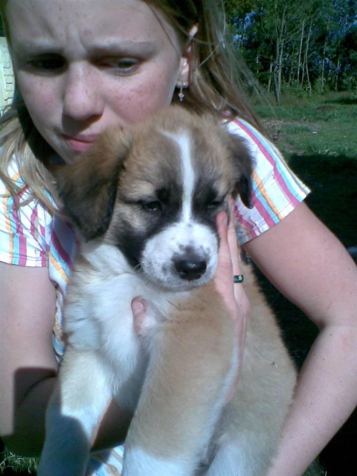 Blanding af racer Kira Cooper *R.I.P* - ``mig da jeg fik taget billede og mig og lisa fik solen i øjnene´´ billede 11