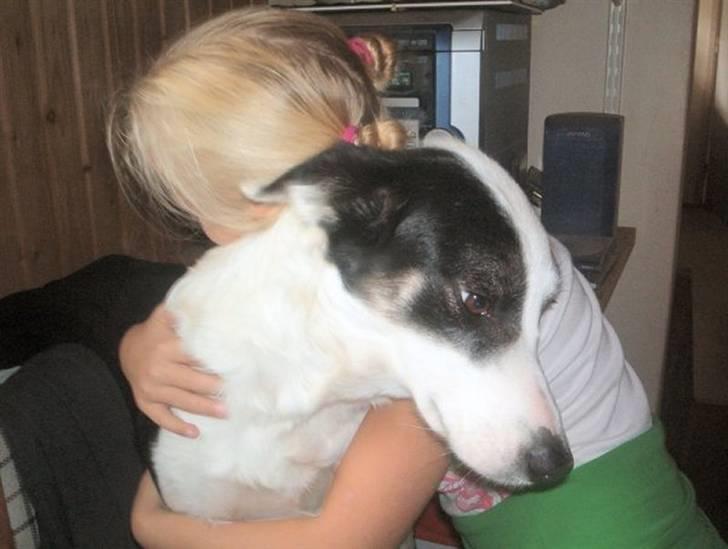 Border collie Xena - Voodoo (Xenas mor) og min datter Sandie. Sandie lærte Voodoo at gi knuser og man er vist ikke i tvivl om at hun nyder det. :o)) billede 14